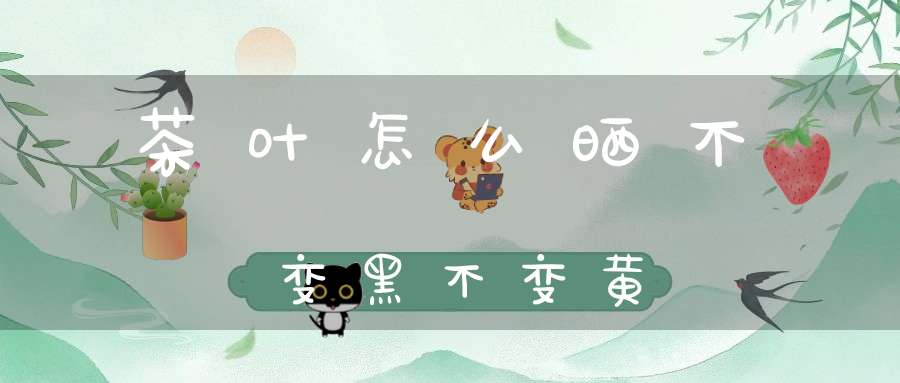 茶叶怎么晒不变黑不变黄