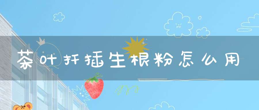茶叶扦插生根粉怎么用