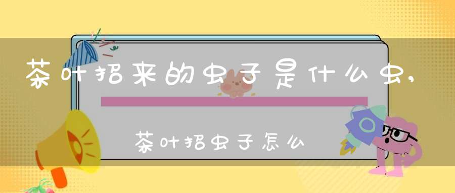 茶叶招来的虫子是什么虫,茶叶招虫子怎么办