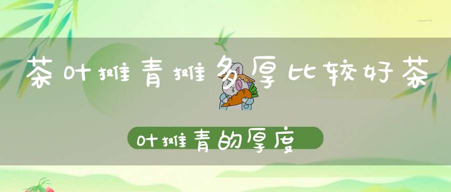 茶叶摊青摊多厚比较好茶叶摊青的厚度