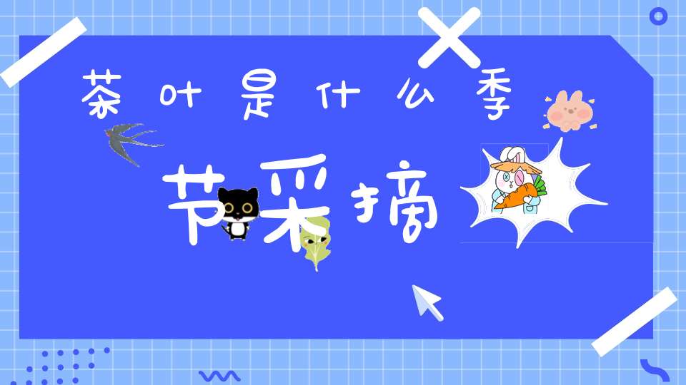 茶叶是什么季节采摘