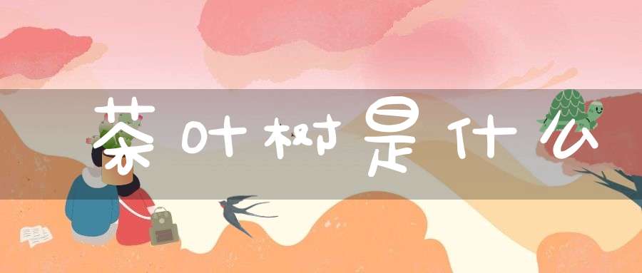 茶叶树是什么