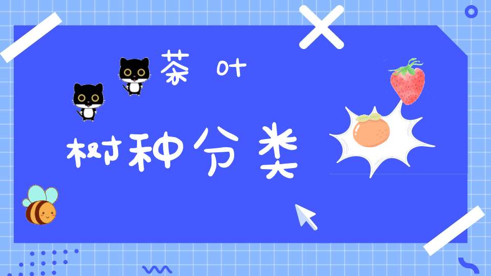 茶叶树种分类