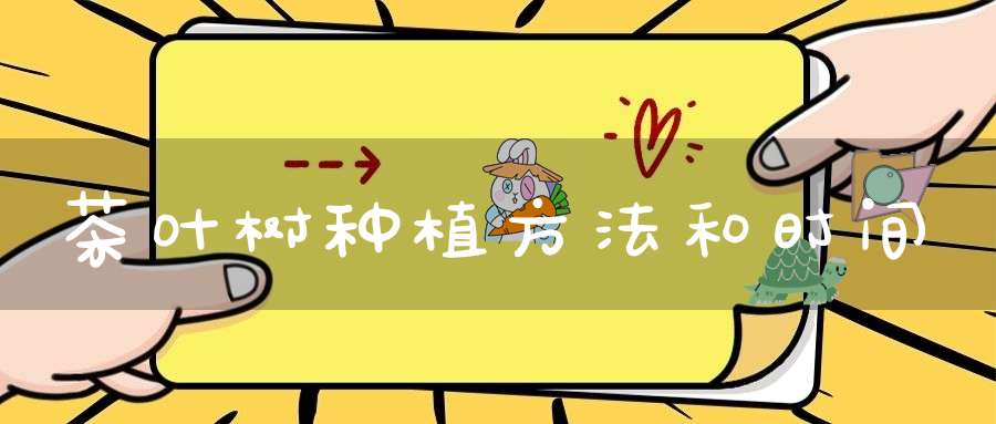 茶叶树种植方法和时间