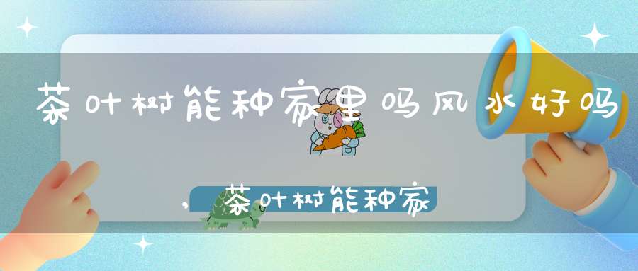 茶叶树能种家里吗风水好吗,茶叶树能种家里吗有毒吗