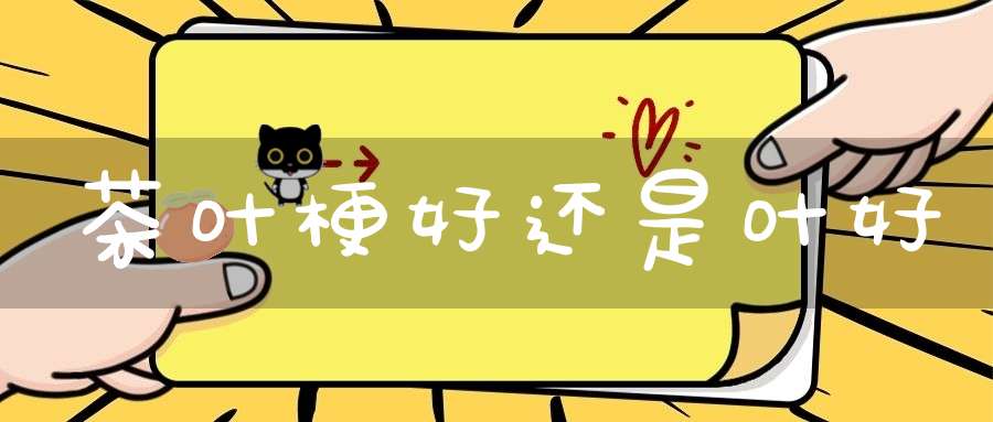 茶叶梗好还是叶好