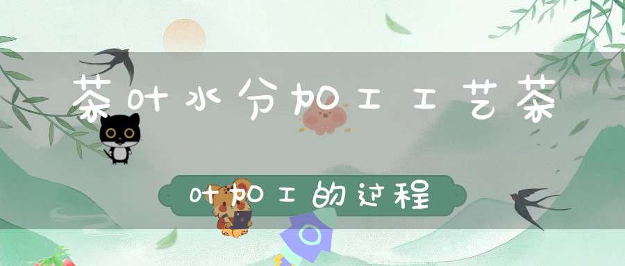 茶叶水分加工工艺茶叶加工的过程