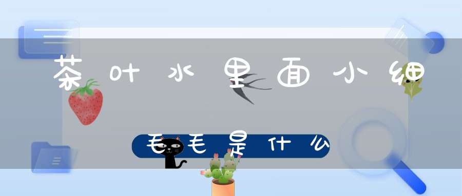 茶叶水里面小细毛毛是什么