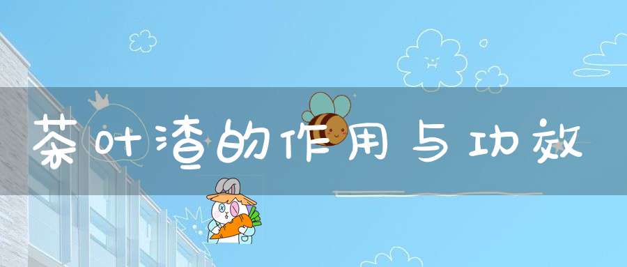 茶叶渣的作用与功效