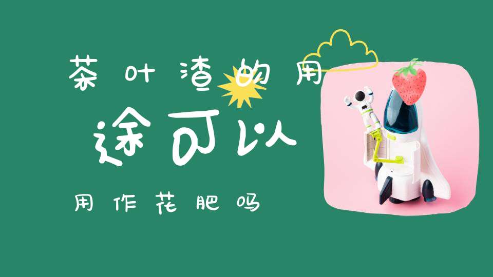 茶叶渣的用途可以用作花肥吗