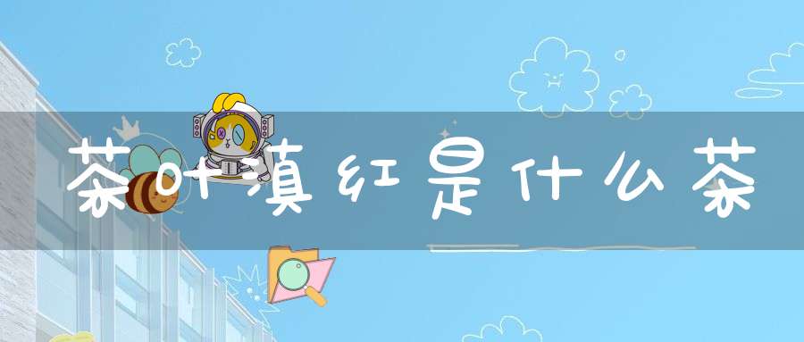 茶叶滇红是什么茶