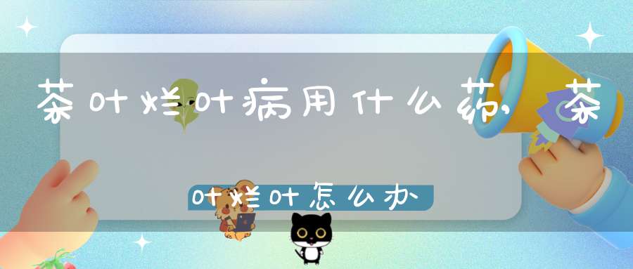 茶叶烂叶病用什么药,茶叶烂叶怎么办