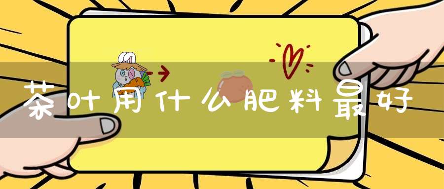 茶叶用什么肥料最好
