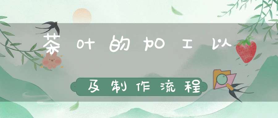 茶叶的加工以及制作流程