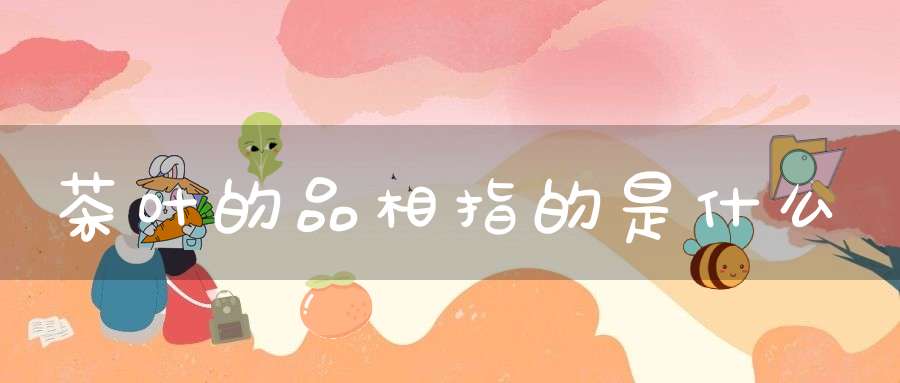 茶叶的品相指的是什么
