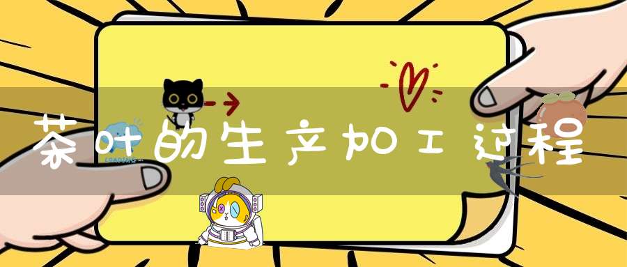 茶叶的生产加工过程