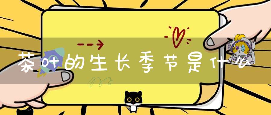 茶叶的生长季节是什么