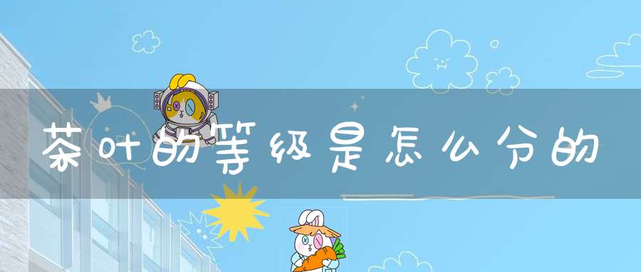 茶叶的等级是怎么分的