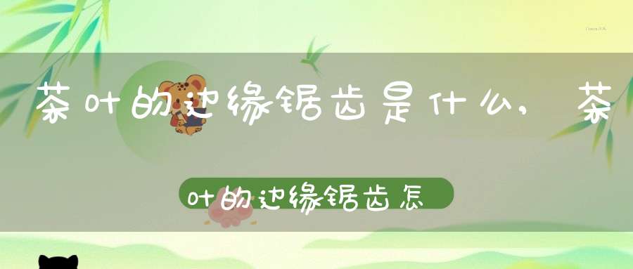茶叶的边缘锯齿是什么,茶叶的边缘锯齿怎么回事