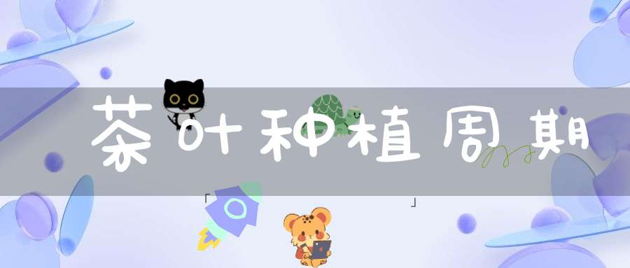 茶叶种植周期