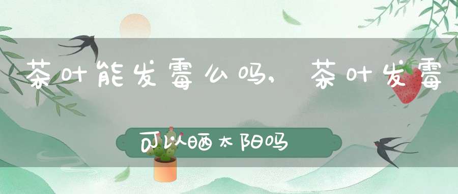 茶叶能发霉么吗,茶叶发霉可以晒太阳吗