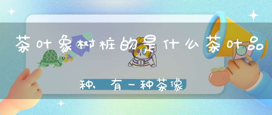茶叶象树桩的是什么茶叶品种,有一种茶像树根是什么茶