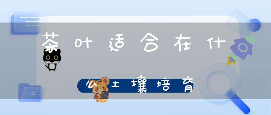茶叶适合在什么土壤培育
