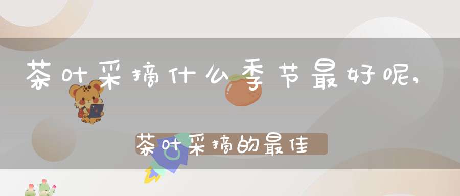 茶叶采摘什么季节最好呢,茶叶采摘的最佳时间