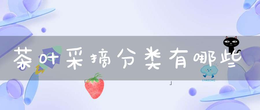 茶叶采摘分类有哪些