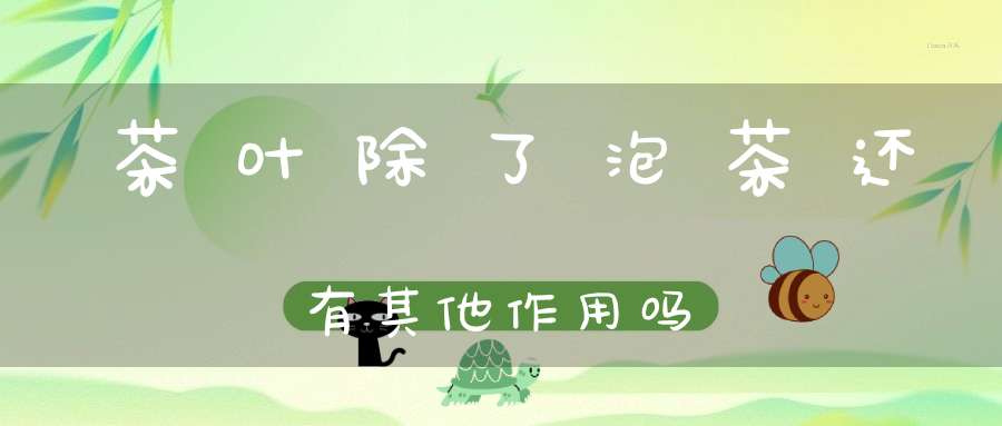 茶叶除了泡茶还有其他作用吗