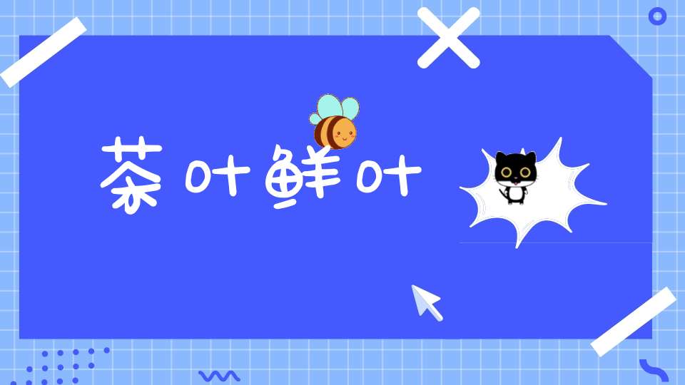 茶叶鲜叶