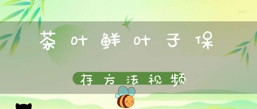 茶叶鲜叶子保存方法视频