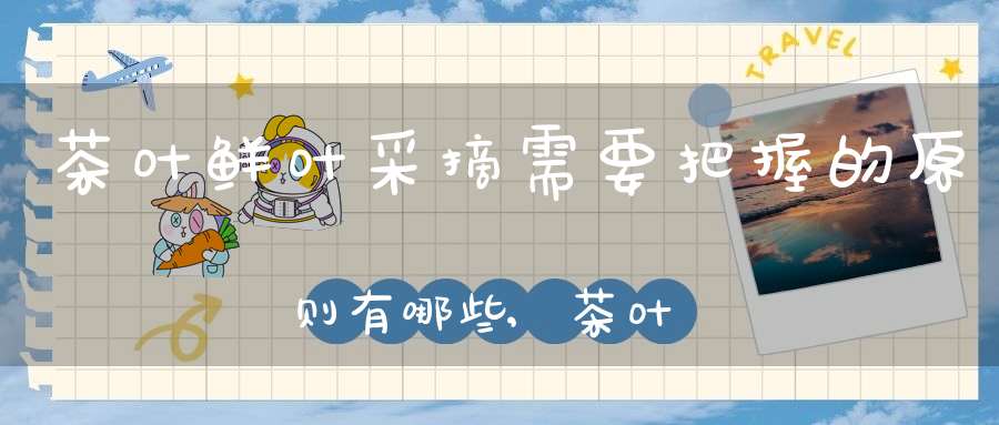 茶叶鲜叶采摘需要把握的原则有哪些,茶叶鲜叶采摘标准