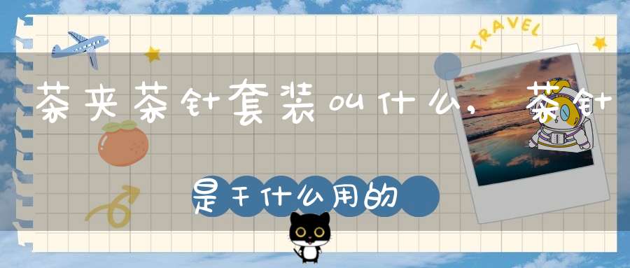 茶夹茶针套装叫什么,茶针是干什么用的?