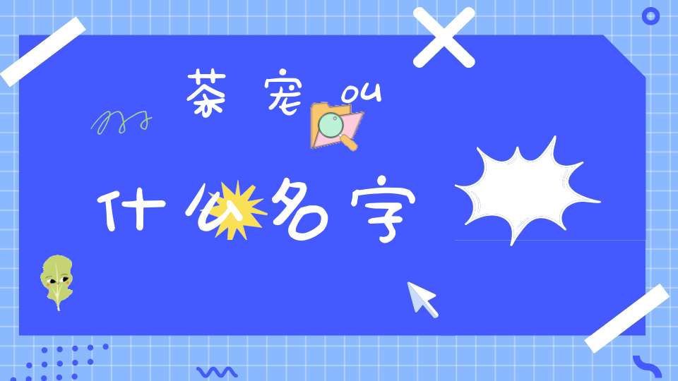 茶宠叫什么名字