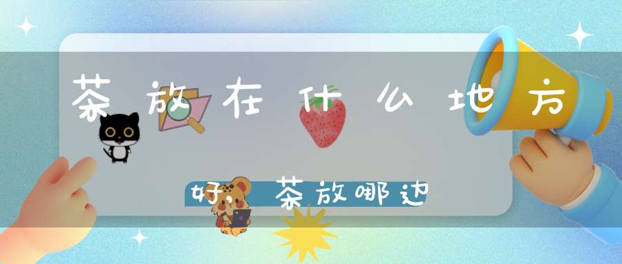 茶放在什么地方好,茶放哪边