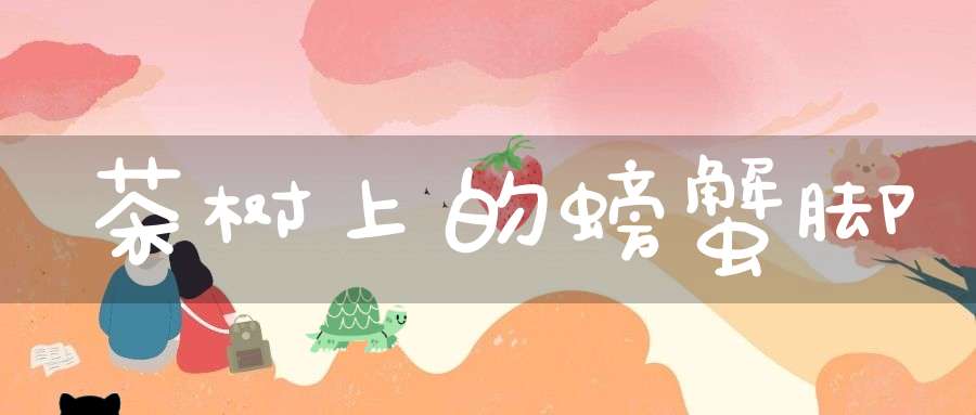 茶树上的螃蟹脚