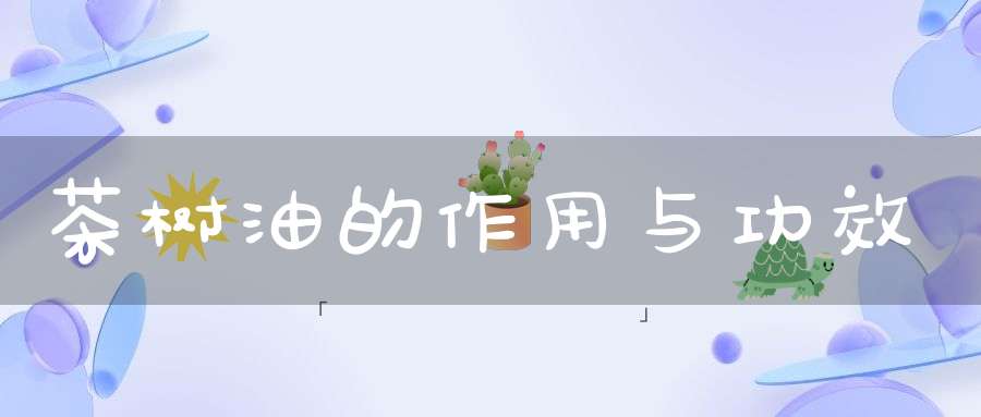 茶树油的作用与功效