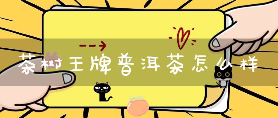 茶树王牌普洱茶怎么样