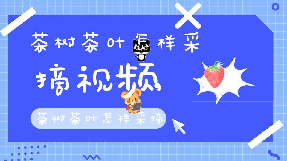 茶树茶叶怎样采摘视频,茶树茶叶怎样采摘好