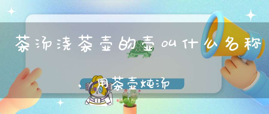 茶汤浇茶壶的壶叫什么名称,用茶壶炖汤