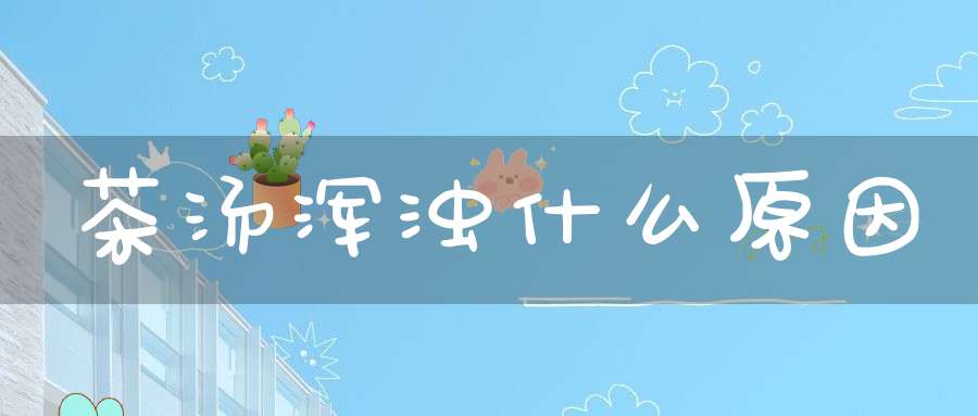 茶汤浑浊什么原因