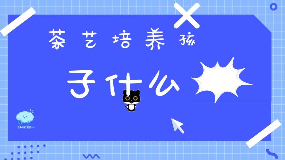 茶艺培养孩子什么