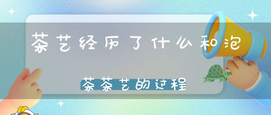 茶艺经历了什么和泡茶茶艺的过程