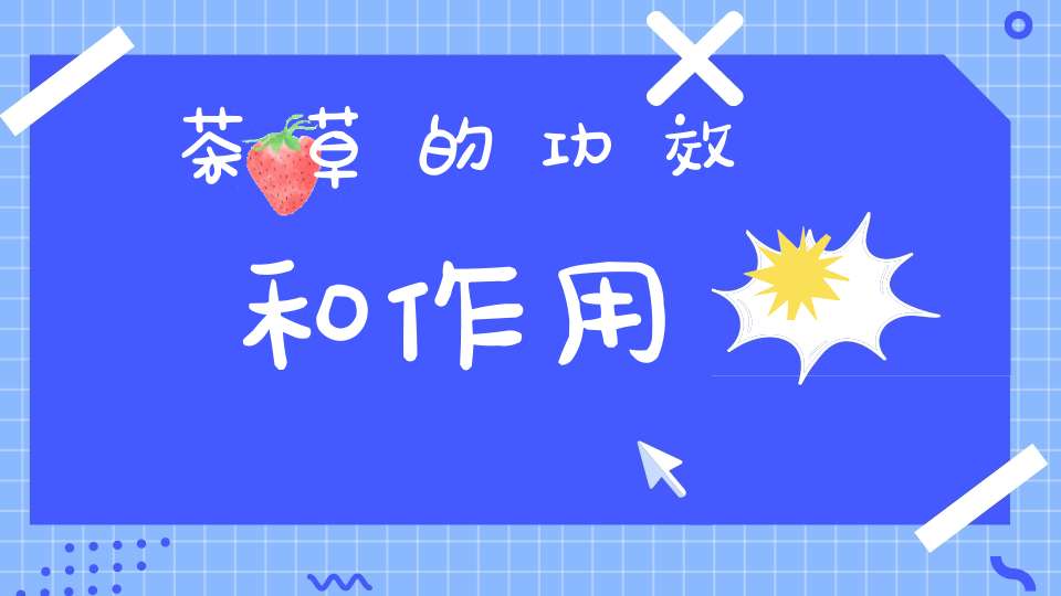 茶草的功效和作用