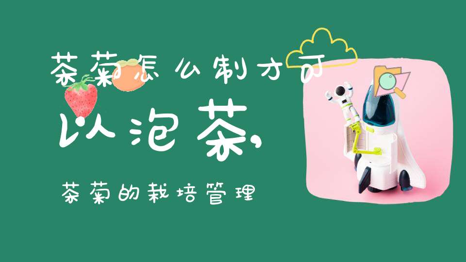 茶菊怎么制才可以泡茶,茶菊的栽培管理