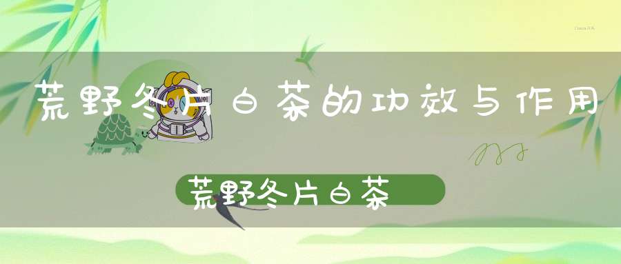 荒野冬片白茶的功效与作用荒野冬片白茶