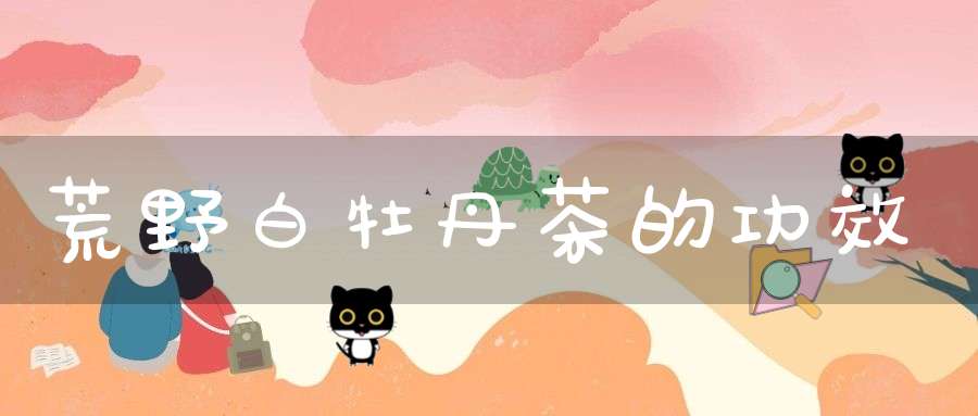 荒野白牡丹茶的功效