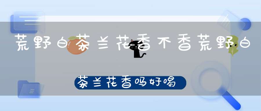 荒野白茶兰花香不香荒野白茶兰花香吗好喝吗