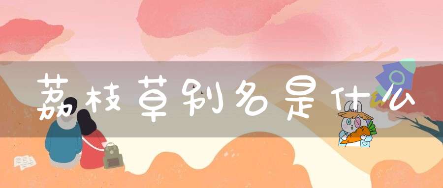 荔枝草别名是什么？